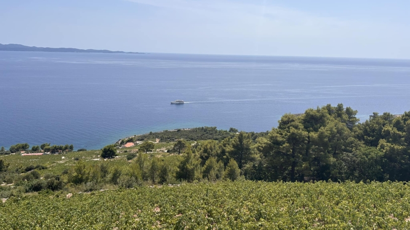 Dingac-hills-815x458  